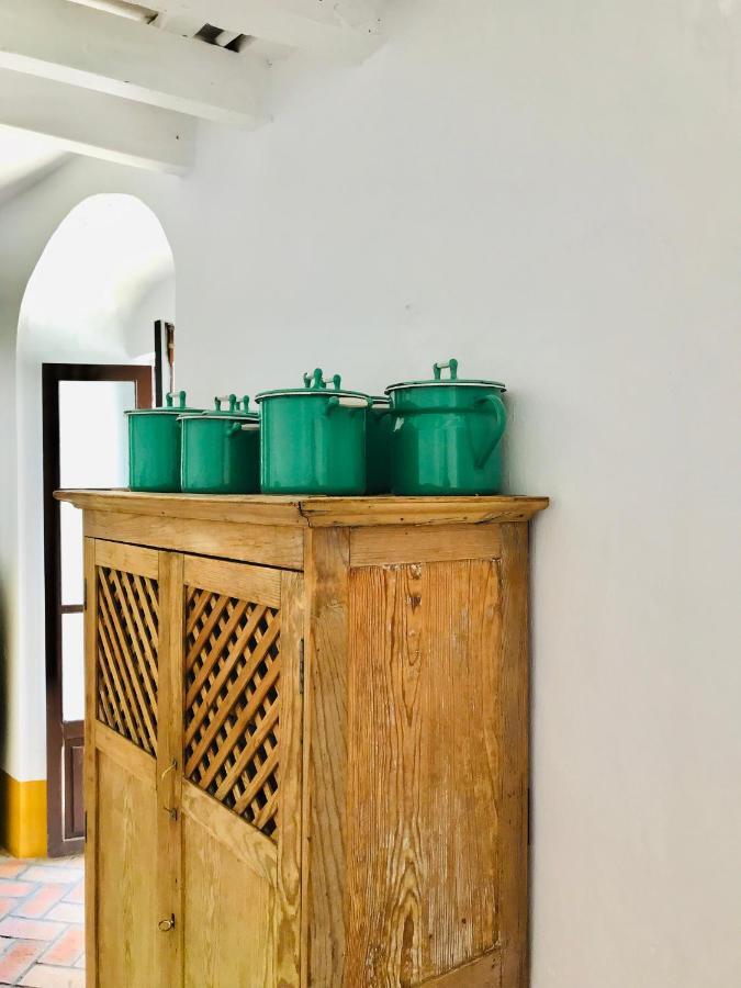 Apartamento San Juan Vejer de la Frontera Dış mekan fotoğraf